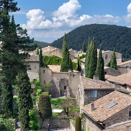 Bed & Breakfast Le Murier Vaison-la-Romaine